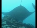 Palau und Yap allgemein