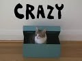 Cat Me If You Can Cat Me If You Can