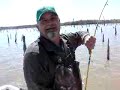 2006 Catfishing 55lb Catch 2006 Catfishing 55lb Catch