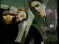 videos de A.N.I.M.A.L - LOCO PRO