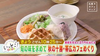 いっとこ！みんテレ