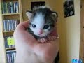 sweet sweet