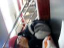 In Mc. DonAlds In Mc. DonAlds