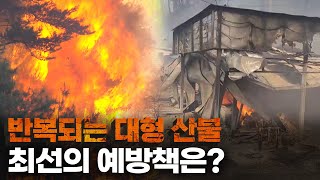 반복되는 대형산불! 최선의 예방책은?