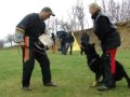 Preview video <strong>Rhea Vikar - defence 9 months </strong>