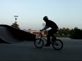 DAMIEN FLEUR - DROP BMX