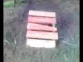 j�l vagy peti? peti j�l vagy?