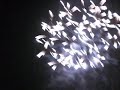 CIMG1843.AVI