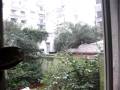 nieva en BS AS part2