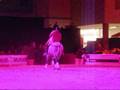 videos de montage cheval passion montpellier 2008 !!!!!!!!!!!.wmv