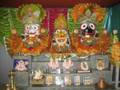 Jagannath Darshan