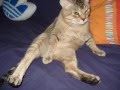 anna rita's hip hop 2 �A�i���^�̃q�b�v�z�b�v�����2�e�I