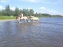 Dit is mijn stad