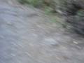 videos de my brother
