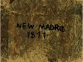 Ideal Free Distribution - New Madrid, 1811