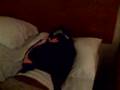 Home Health Nurses And Bed Bugs