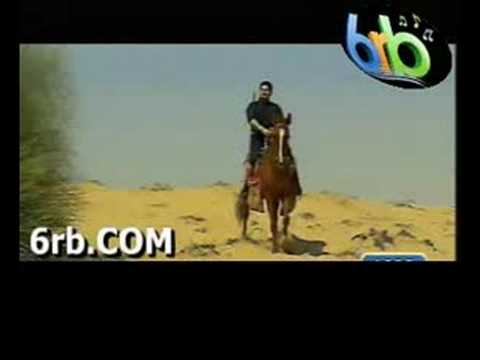 الذيب_ علي جوهر