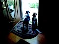 The dogs flipping out because my mom came back