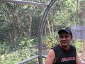 2008 Mariposario