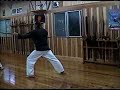 Kyoshi Neil Stolsmark at Gakiya Sensei\
