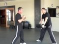 Front Kick to the Groin