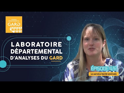 Voir la vidéo, fenêtre modale