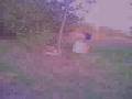 chickens most wanted 3 chickens revenge