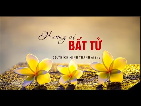 Hương Vị Bất Tử Hương Vị Bất Tử
