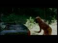 Julia (Trailer)