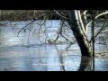videos de Fiume Ombrone dopo la piena, 17 dicembre 2008