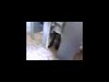 Dezmond Gettin His Azz Beat Part 1