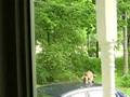 Cat attacked by bird