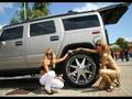 videos de TUNING DIVA *Greta*