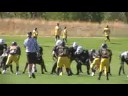 SHAMROCKS HIGHLIGHTS