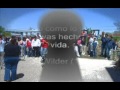 A.C.D.F. Tr�boles