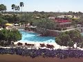 Phoenician