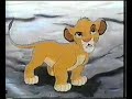 Nido del cuculo- Il re leone Nido del cuculo- Il re leone