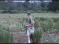 Hog Stalk
