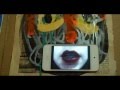 View Video