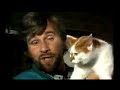meowarchy-v-dawn-of-the-apocatlypse.html