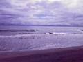 maasin skimmers