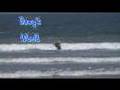 2008 Loews Coronado Bay Resort Surf Dog Competition