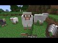 Minecraft Box [SP LP