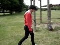 videos de Lewis' version of Blocky Pole
