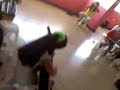 Renato Borja y alumna Angie Rojas 7 años en vivo