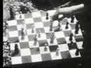 AT LAND - Maya Deren - Music By I'M ANITa part.2