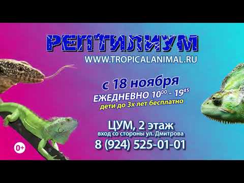 Выставка Рептилиум в Новосибирске