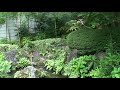 Tokyo Zen Garden Tokyo Zen Garden