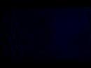\"In Gratitude\" Demo Title Sequence