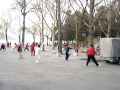 taiji taichi taijiquan taichiquan ??? at Beijing Beihai Park taiji taichi taijiquan taichiquan ??? at Beijing Beihai Park